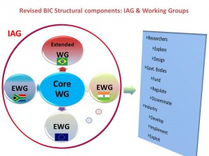 BIC Extended WGs Structure